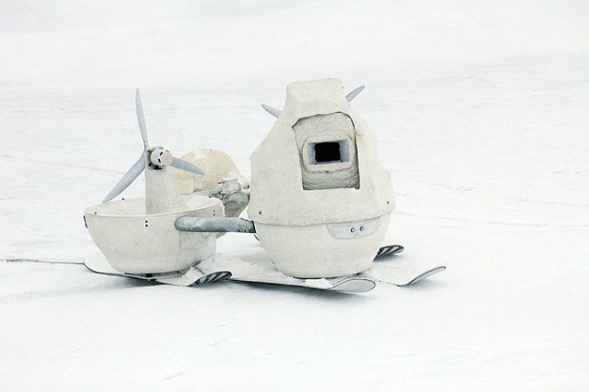 Polar Bear Spy On the Ice - Photos