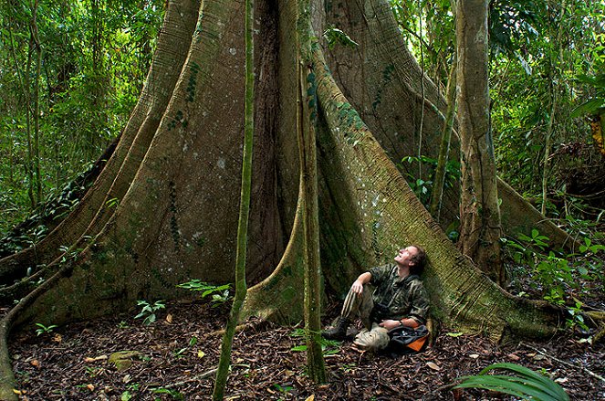 The Natural World - The Monkey-Eating Eagle of the Orinoco - Kuvat elokuvasta