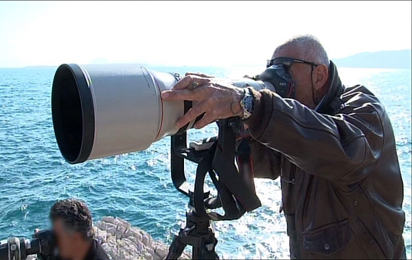 Paparazzi : Sharks Of the French Riviera - Film