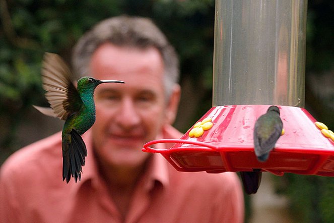 Wild Colombia with Nigel Marven - Do filme