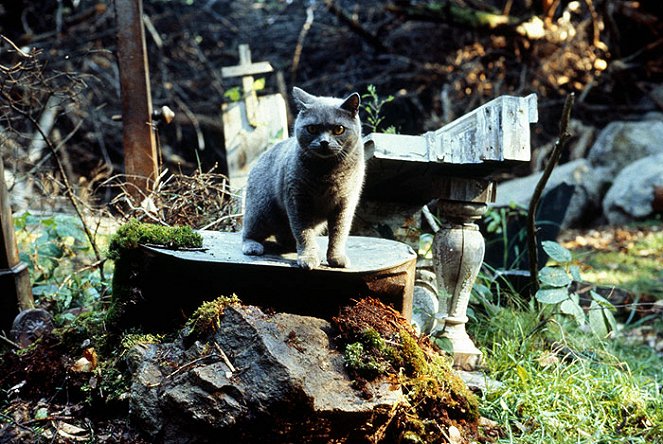 Hřbitov domácích zvířátek - Z filmu