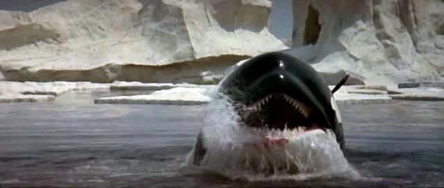 Orca, la ballena asesina - De la película