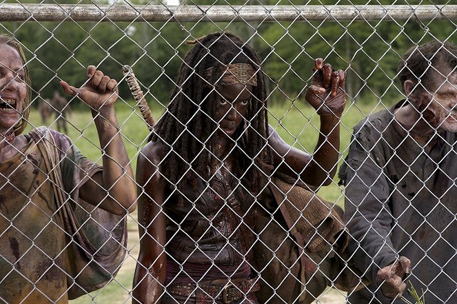 The Walking Dead - When the Dead Come Knocking - Photos - Danai Gurira