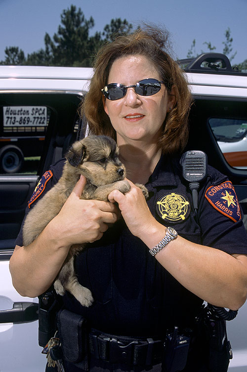 Animal Cops: Houston - Photos