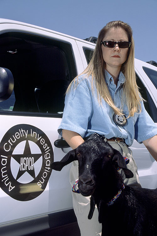 Animal Cops: Houston - Van film
