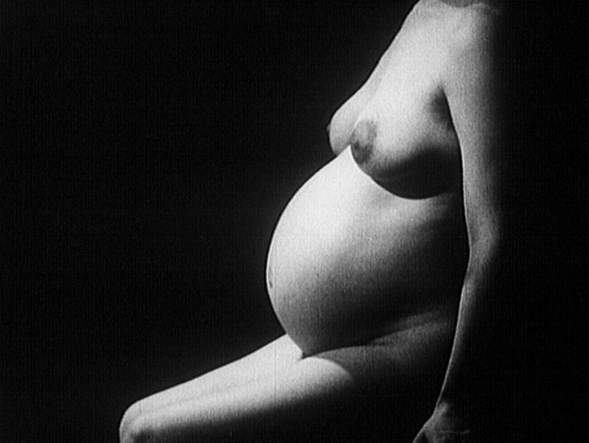 Diary of a Pregnant Woman - Photos
