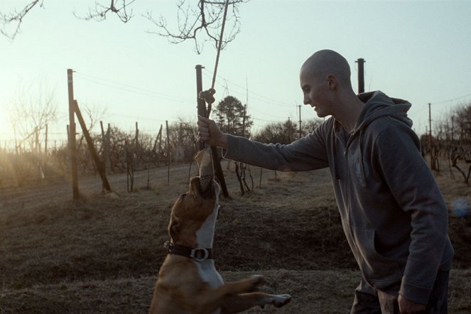Môj pes Killer - Kuvat elokuvasta - Adam Mihál
