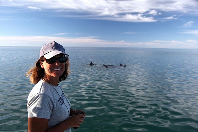 A természeti világ - Season 29 - The Dolphins of Shark Bay - Filmfotók