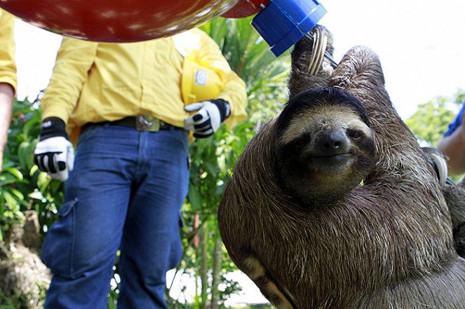 Meet the Sloths - Kuvat elokuvasta