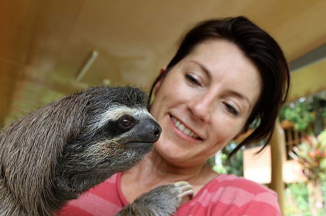 Meet the Sloths - Photos