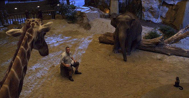 Der Zoowärter - Filmfotos - Kevin James