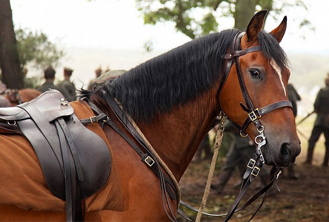 Vojnový kôň - Z filmu