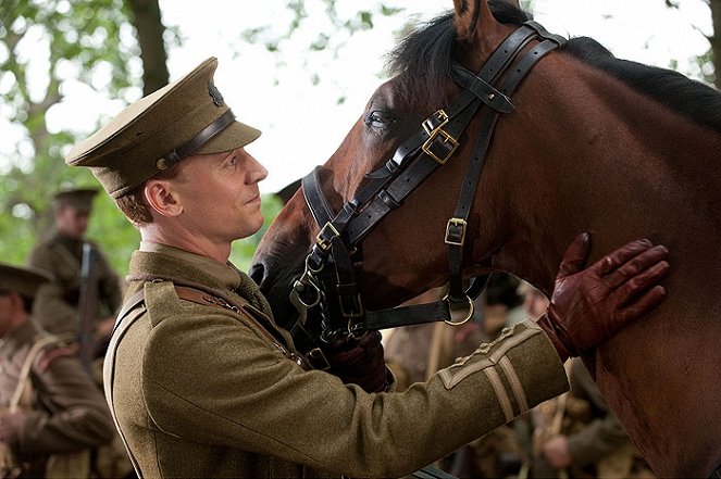 War Horse (Caballo de batalla) - De la película - Tom Hiddleston