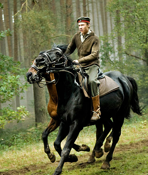 War Horse (Caballo de batalla) - De la película - David Kross