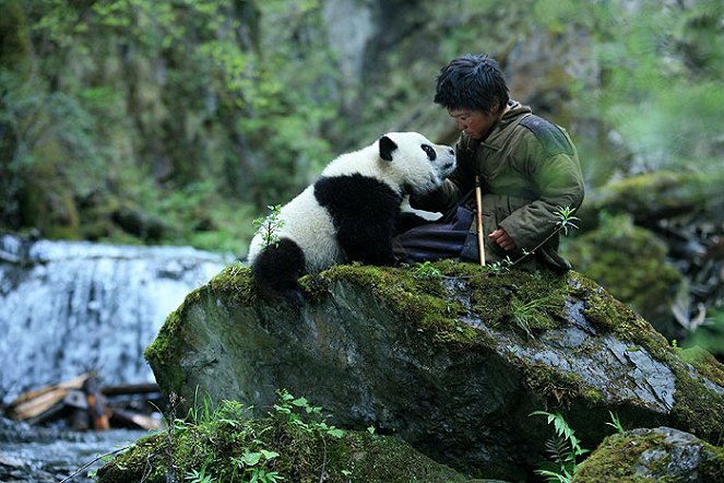 Dobrodružství s pandou - Z filmu