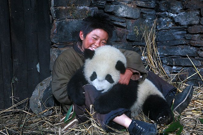 Panda - Z filmu