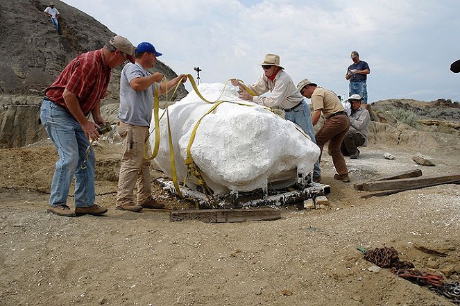 The Dinosaur Mummy - Photos