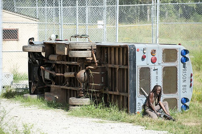 The Walking Dead - Season 3 - Home - Photos - Danai Gurira