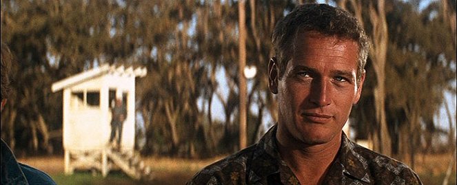 O Presidiário - Do filme - Paul Newman