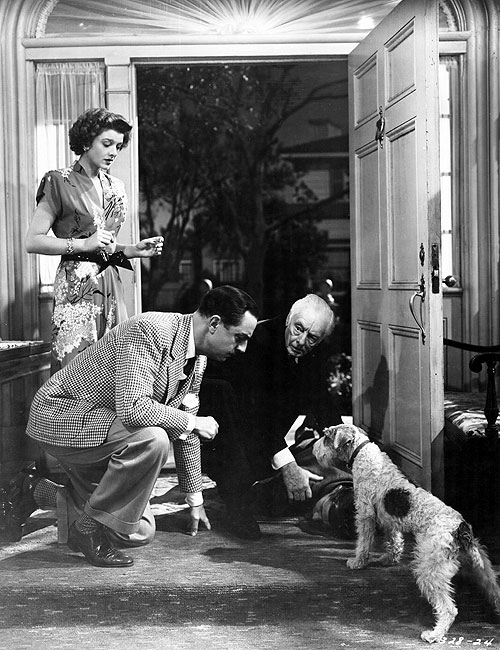 The Thin Man Goes Home - Z filmu - Myrna Loy, William Powell, Harry Davenport, Asta