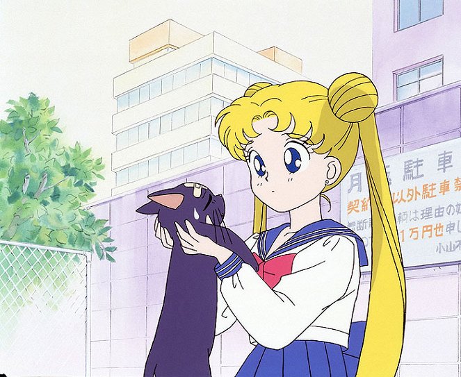 Sailor Moon - De la película