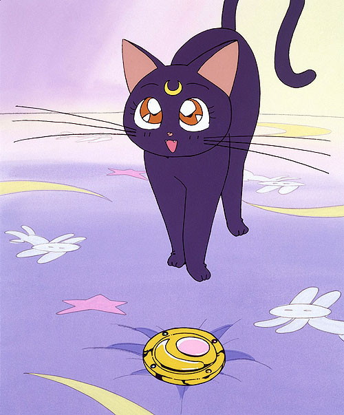 Sailor Moon - Z filmu
