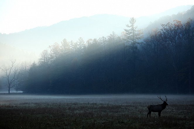 Wild Appalachia - De la película
