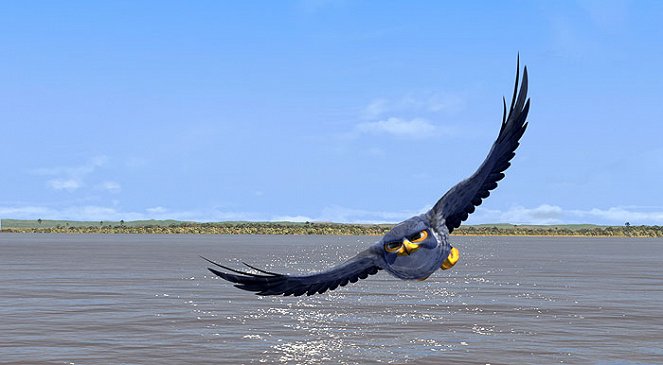 Zambezia: De verborgen vogelstad - Van film