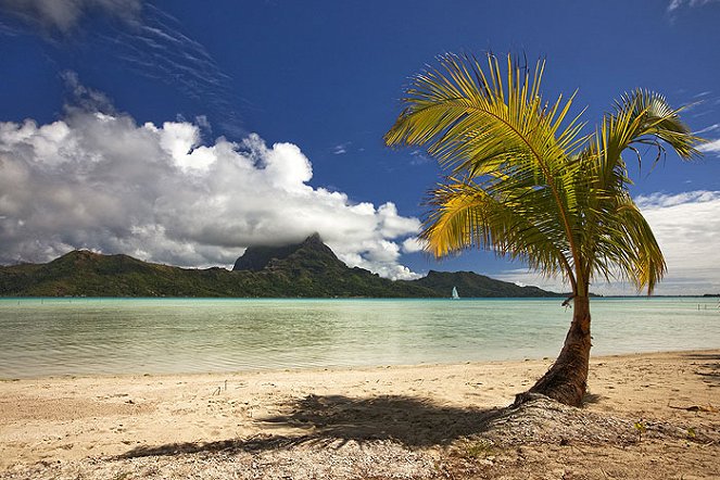 Útěk na Tahiti a jeho ostrovy - Van film