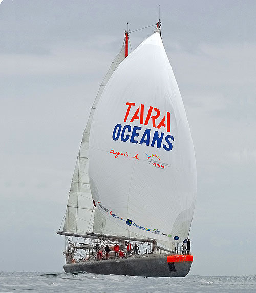 Tara Oceans - Do filme