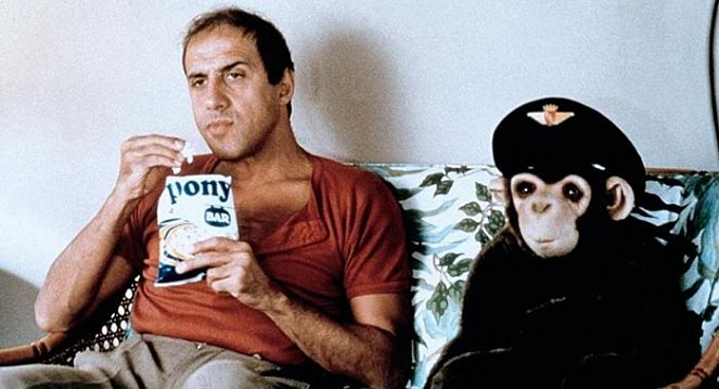 Gib dem Affen Zucker - Filmfotos - Adriano Celentano