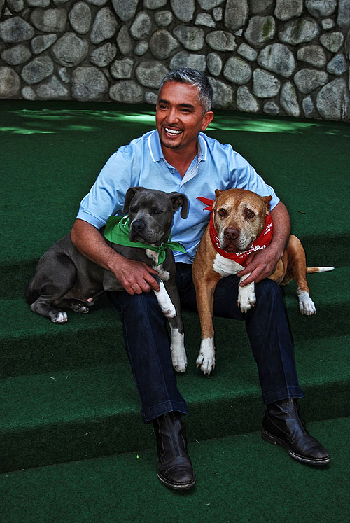 Dog Whisperer with Cesar Millan - Photos - Cesar Millan