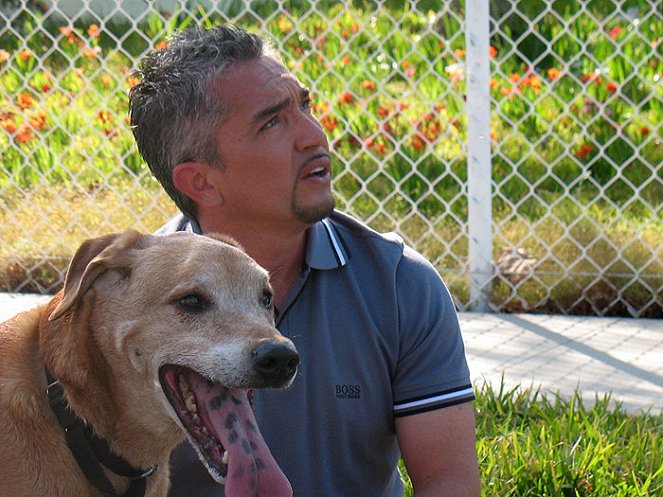 O Encantador de Cães - Do filme - Cesar Millan