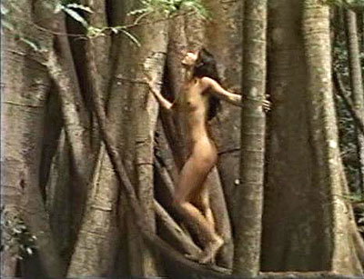 Naked Celebrations - Van film