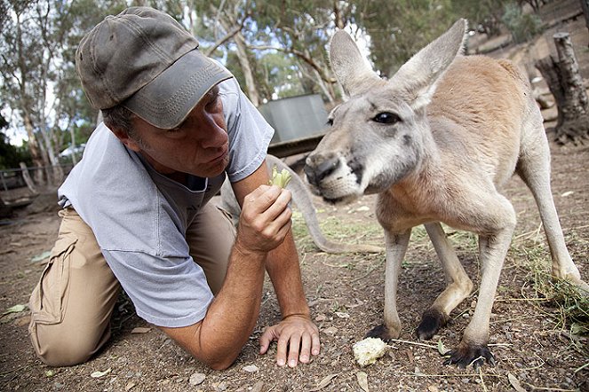 Dirty Jobs: Down Under - Photos - Mike Rowe