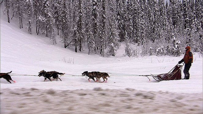 Alaska State Troopers - Kuvat elokuvasta