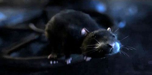 Una rata corta - De la película