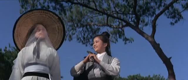 Zhong kui niang zi - De la película