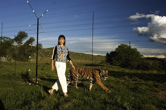 Le Tigre de la dernière chance - Kuvat elokuvasta