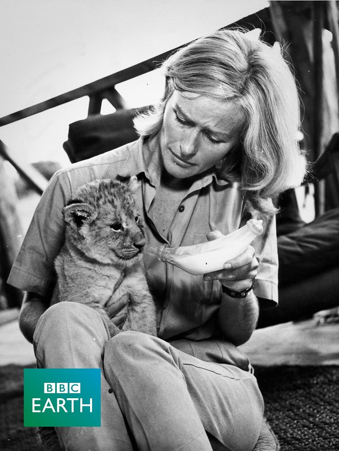 The Natural World - Elsa: The Lioness That Changed the World - Photos - Virginia McKenna