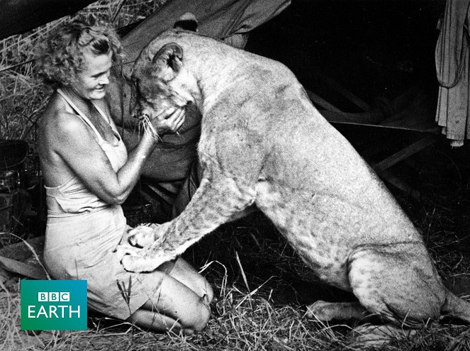 The Natural World - Elsa: The Lioness That Changed the World - Van film