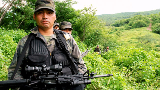 This World: Mexico's Drug War - Z filmu