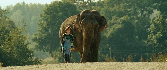 The Elephant - Photos