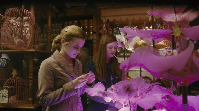 Harry Potter e o Príncipe Misterioso - Do filme - Emma Watson, Bonnie Wright