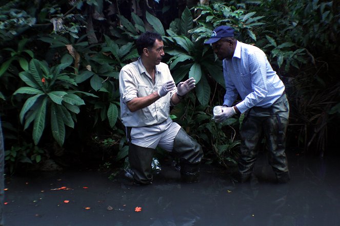 Trópusi betegségek nyomában - Filmfotók