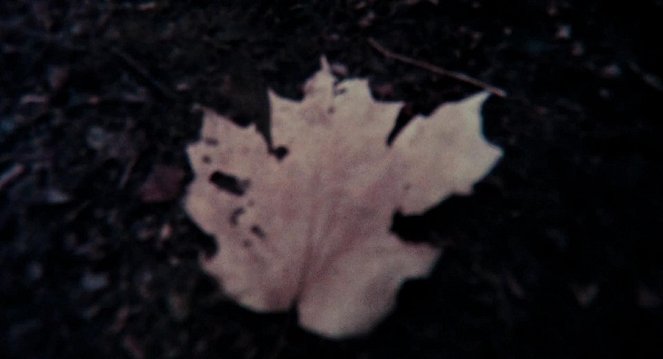 Lesný duch - Z filmu