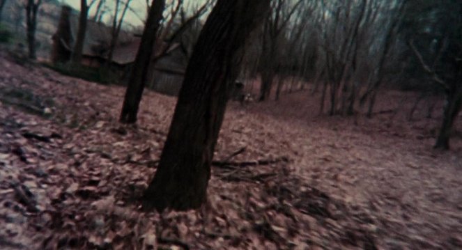 Lesní duch - Z filmu