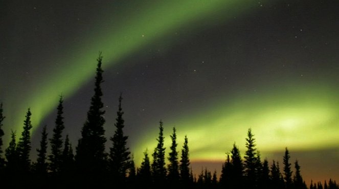 Divoká Aljaška: Národní park Denali - Z filmu