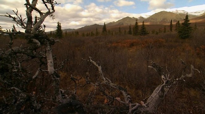 Extreme Alaska: Denali - Van film