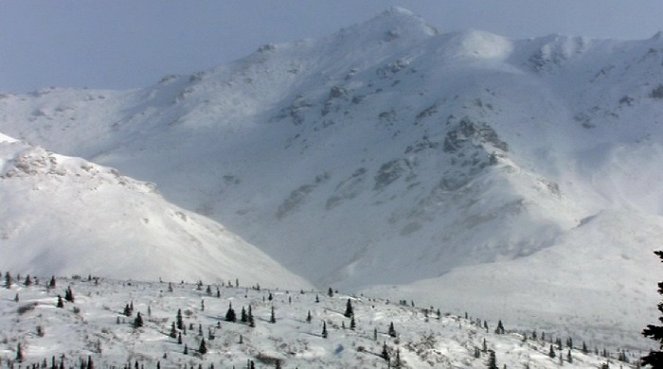 Divoká Aljaška: Národní park Denali - Z filmu